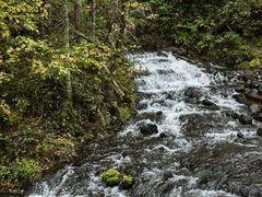 -峡谷浮石林景区