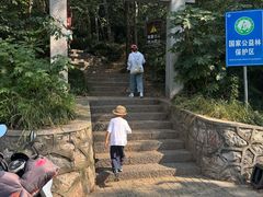 -紫金山山顶公园