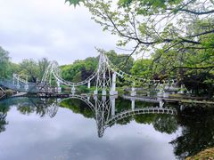 -上海共青森林公园