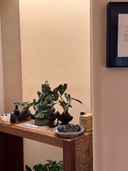 -阿南达·瑜伽普拉提·阿育吠陀疗愈中心