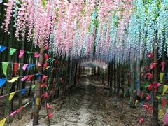 -众神白水涧景区