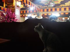 -嘎咓讓咘藏餐厅(团结新村店)