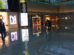 -升恒昌免税商店(桃园国际机场店)