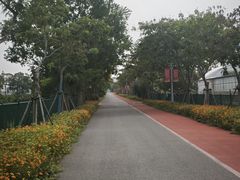 -上海长兴岛郊野公园