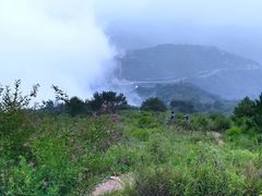 -阳台山自然风景区