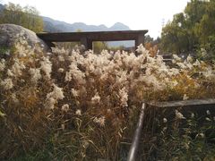 -碓臼峪自然风景区