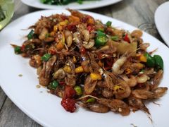 辣椒小河虾-南雄雄州土菜餐厅(粤北大厦店)