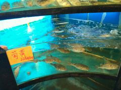 -莆鑫海鲜城(浏河店)