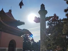 -北陵公园