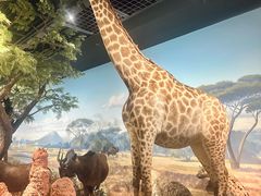 -陕西自然博物馆