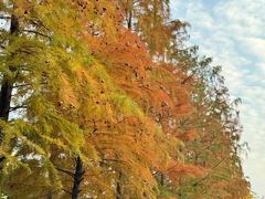 -秀沿路(地铁站)