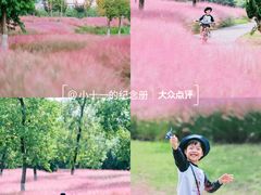 -九里湖国家湿地公园