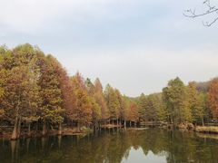 -钟山体育运动公园