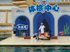 -秦皇岛乐岛海洋王国