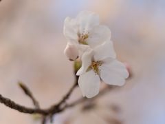 -苏州太湖国际会议中心