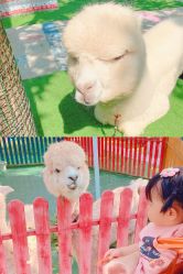 -萌宠亲子动物乐园(槐房万达店)