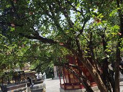 -西安市广仁寺