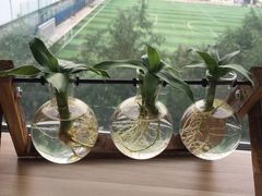 -千浔一暖DIY蛋糕烘焙(人民大学店)
