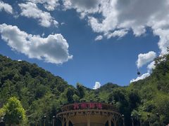 -栾川竹海野生动物园