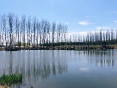 -东郊湿地公园