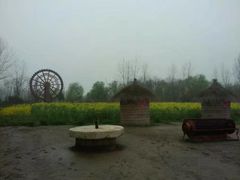 -溱湖国家湿地公园