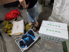 -双福水果批发市场