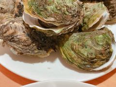 白灼生蚝-南蚝小贝海鲜特色餐厅(南澳岛店)