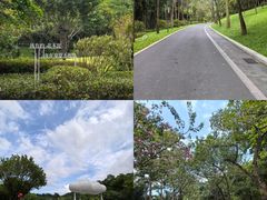-云溪植物园
