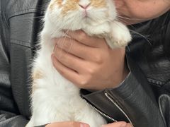 -404干式熟成牛排馆•聚会餐厅