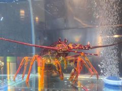 -ONE FULL 古董港式海鲜火锅