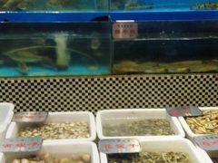 水产区-红高粱大酒店(宁山东路店)