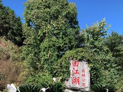 -广州白江湖森林公园