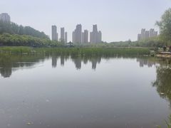 -前关湿地公园