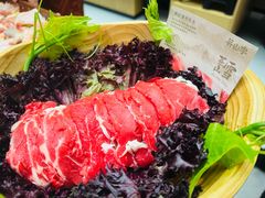 -芸山季·云南野生菌火锅(南翔印象城MEGA店)
