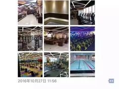 -金吉鸟健身游泳