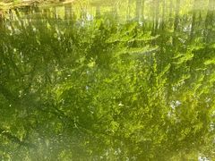 -徐家汇源景区-衡山公园