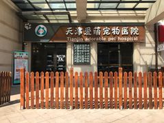 -美联众合宠物医院·爱萌分院·内外科·猫科中心