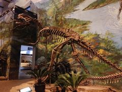 -自贡恐龙博物馆