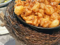 -丁老爷子苏香圆