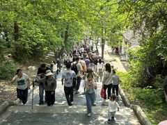 -灵岩山风景区