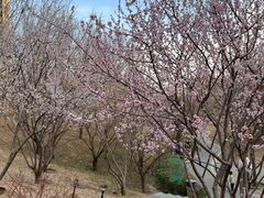 -BRAVO 赞·美艺术中心·系统美术·书法·艺考(双井校区)