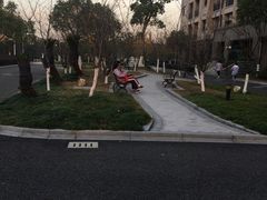 -浙江大学附属中学(丁兰校区)