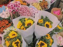 -武汉花鸟市场