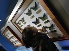 -上海昆虫博物馆