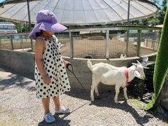 -前小桔亲子创意农场·草莓采摘·露营烧烤