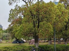 -苏州河梦清园环保主题公园