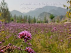 -白河湾山水缘民宿