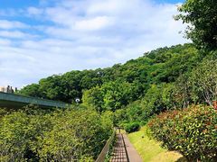 -牛岗山公园