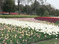 -上海鲜花港