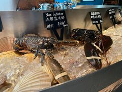 -Oyster Talks 四度蚝法餐厅
